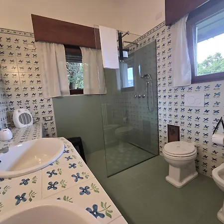 Cicala * パッランツァ