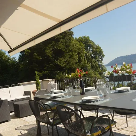 Cicala * パッランツァ