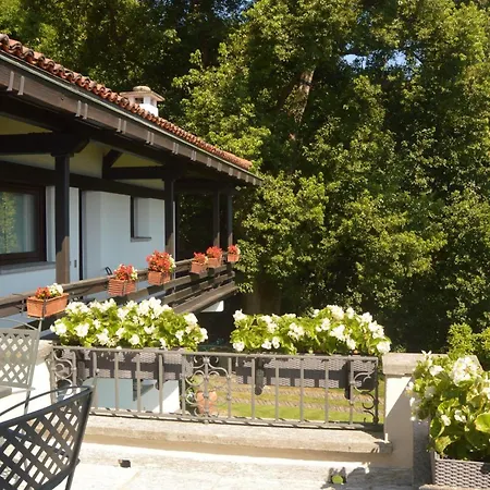 Cicala パッランツァ