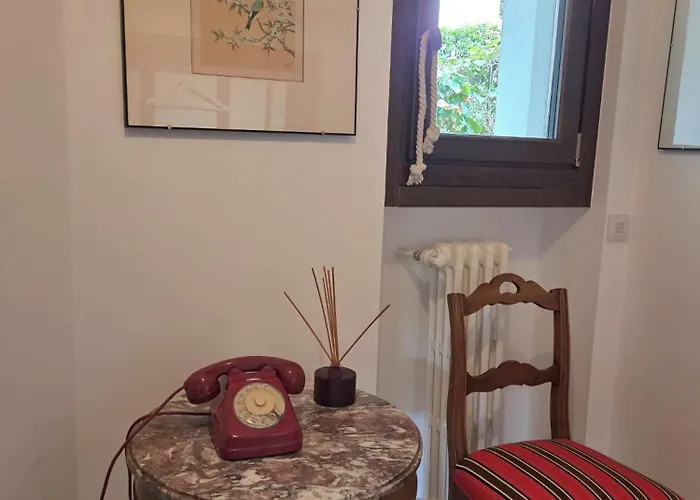 Cicala *